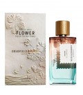 Оригинал Goldfield & Banks Australia Pacific Rock Flower